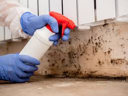 Best Mold Prevention Services  in Reedurban, OH